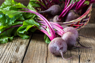 Better Soil for Better Beets: The right way to grow beets from seed