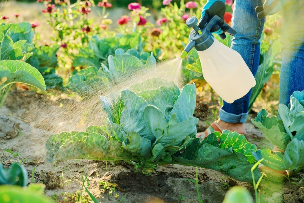 raised bed potting mix Organic Raised Bed Mix: Bulk Truckload 44 Cubic Yards (20 Pallets