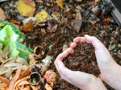 How to Easily Start Home Composting for Rich Organic Garden Soil