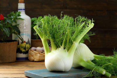 How to Grow, Harvest, and Use Fennel for Herb and Medicinal Uses