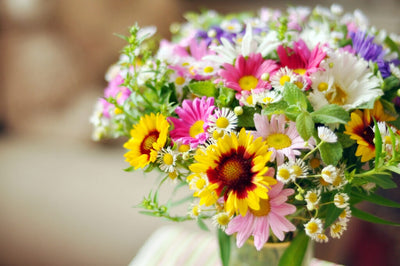 Making Flower Arrangements: Bringing the Blooms Indoors