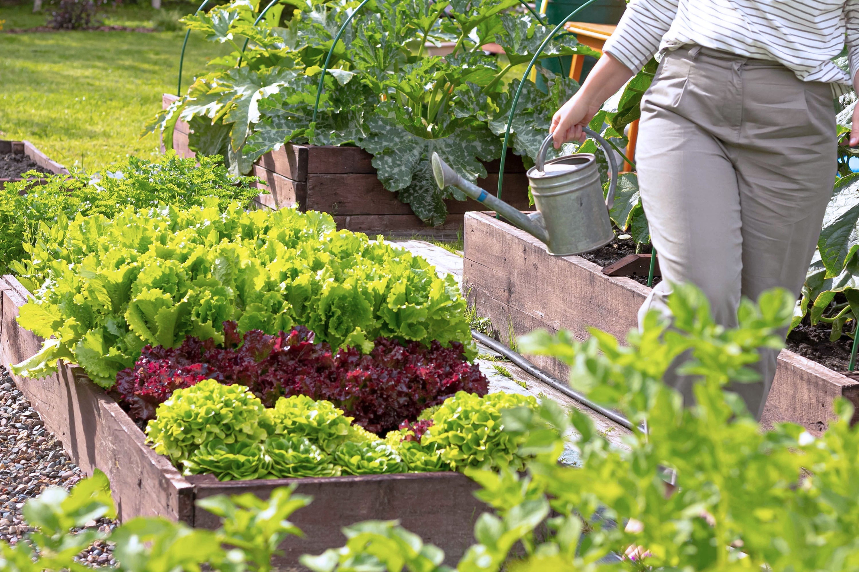 Best Easy DIY Raised Bed Garden Ideas - A Piece Of Rainbow