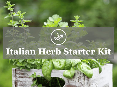 Italian Herb Garden Starter Kit Guide: Instructions for Growing 5 Italian Herbs