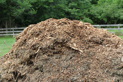 The Benefits of Mulching: Why Mulch is Essential for Your Vegetable Garden