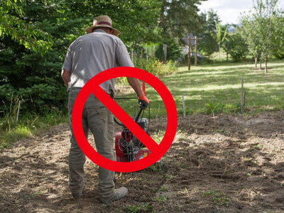 How No-Till Gardening Methods Can Build Better Soil with Less Work