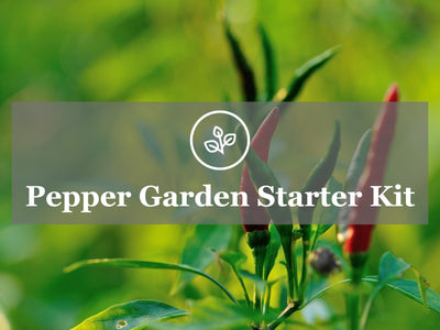 Grow Bell Pepper and Hot Pepper - Mixed Heirloom Peppers Garden Kit Guide