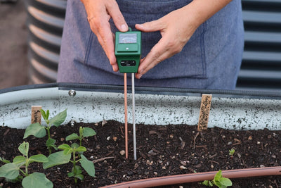 How to Test Soil pH and Why It Matters to Your Garden Plants