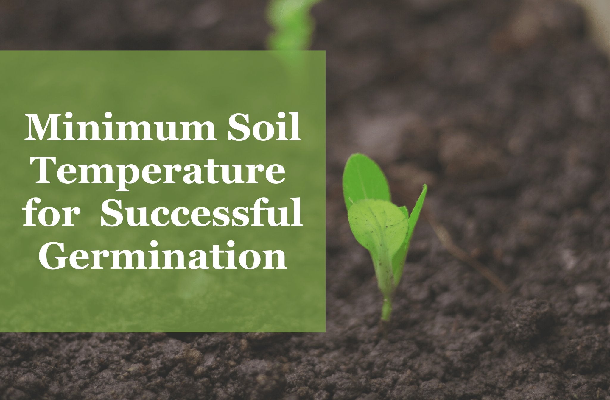A Gardening Tool Seed Germination Temperature Chart Sow Right Seeds