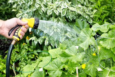 Watering 101: The Most Efficient Ways to Water Your Garden