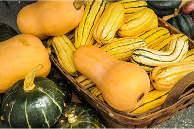 How to Grow Acorn, Butternut and Other Winter Squash from Seed