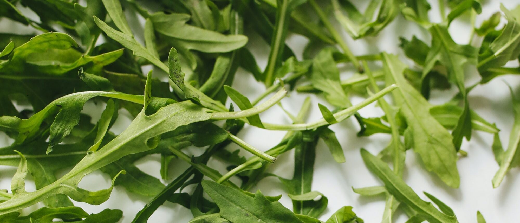 salad greens arugula rocket leaves to eat from the garden