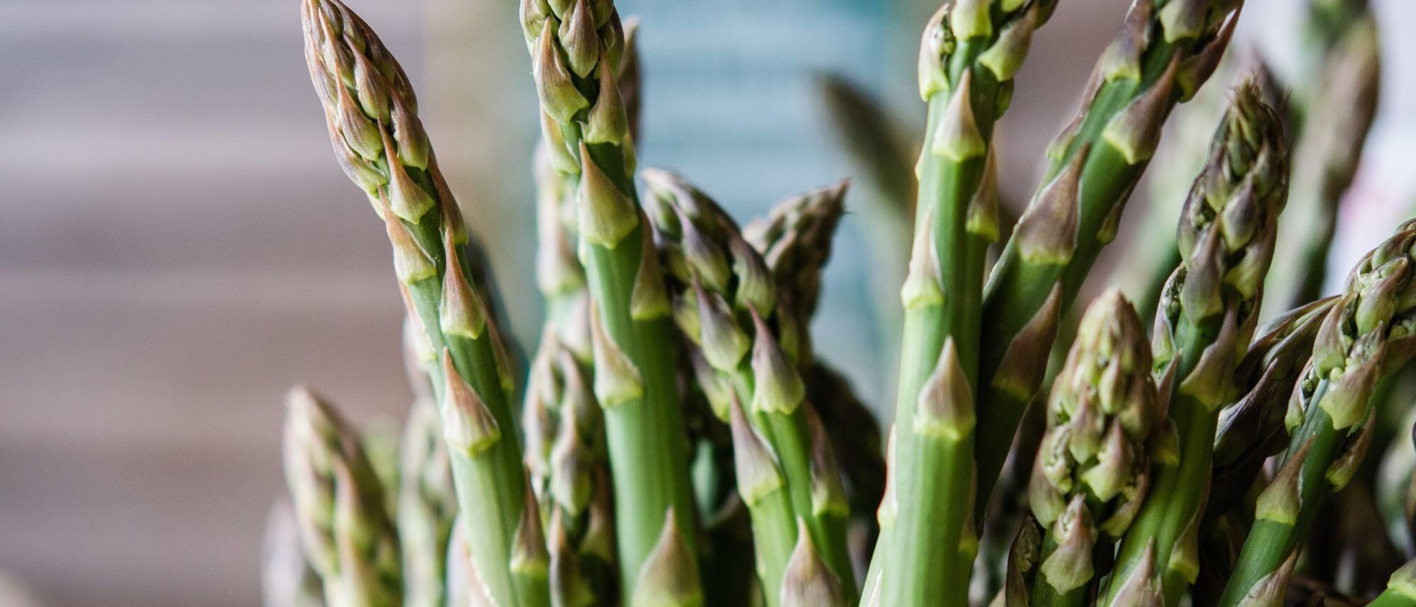 green asparagus in a bowl picked fresh from the home garden