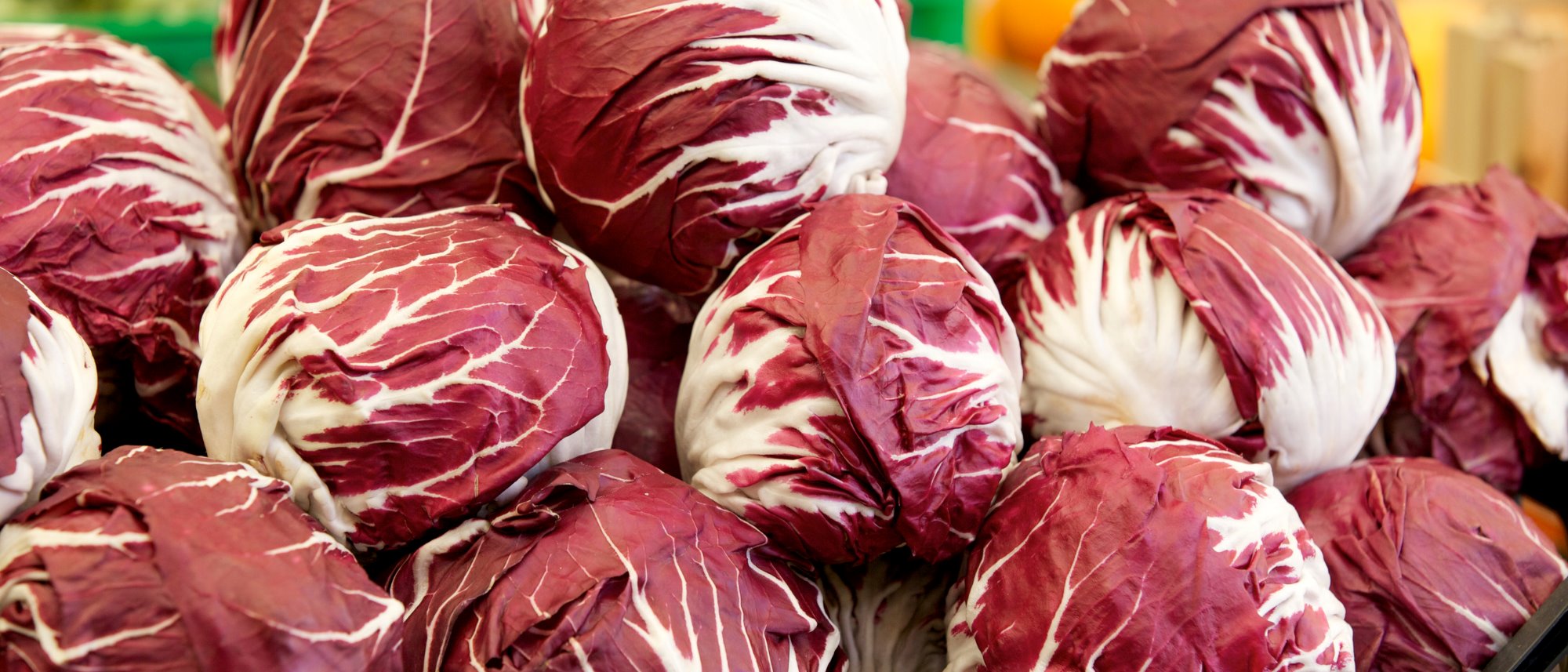 Radicchio