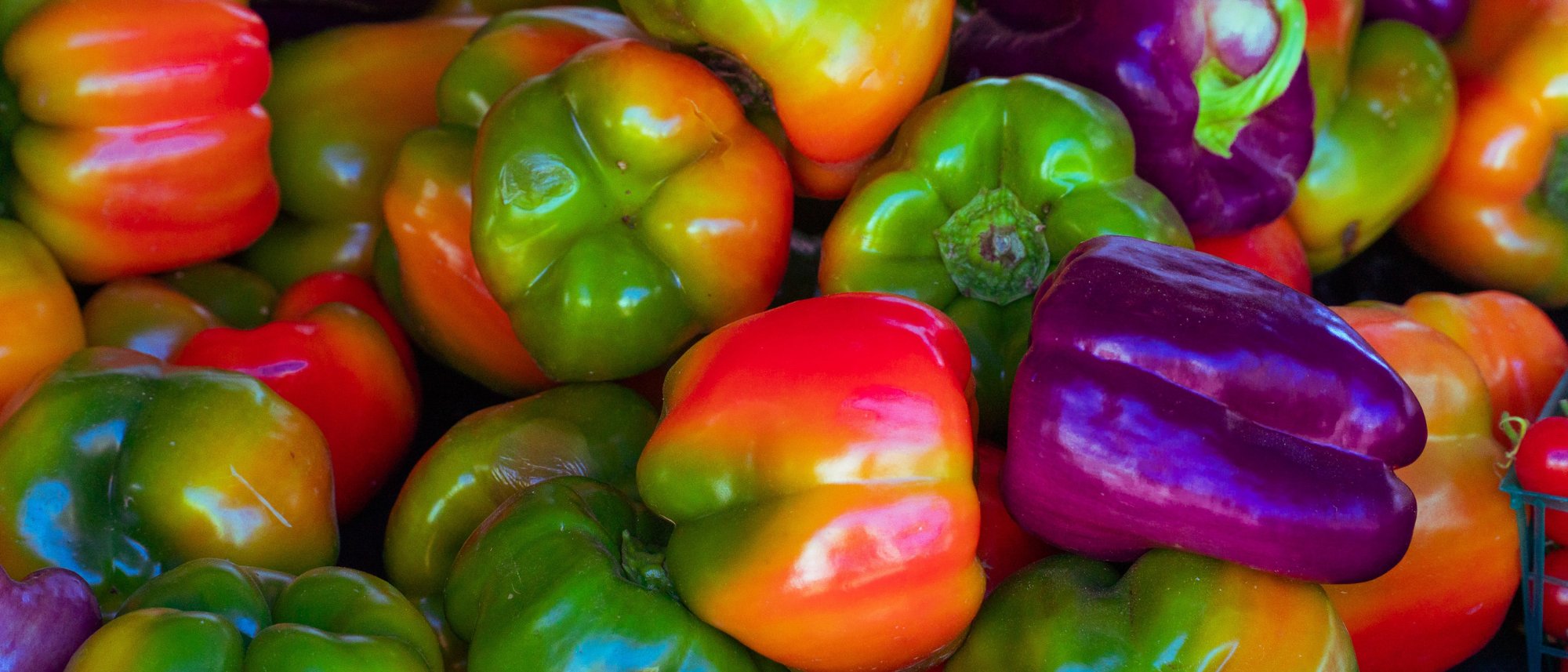 Grow delicious sweet bell and spicy peppers
