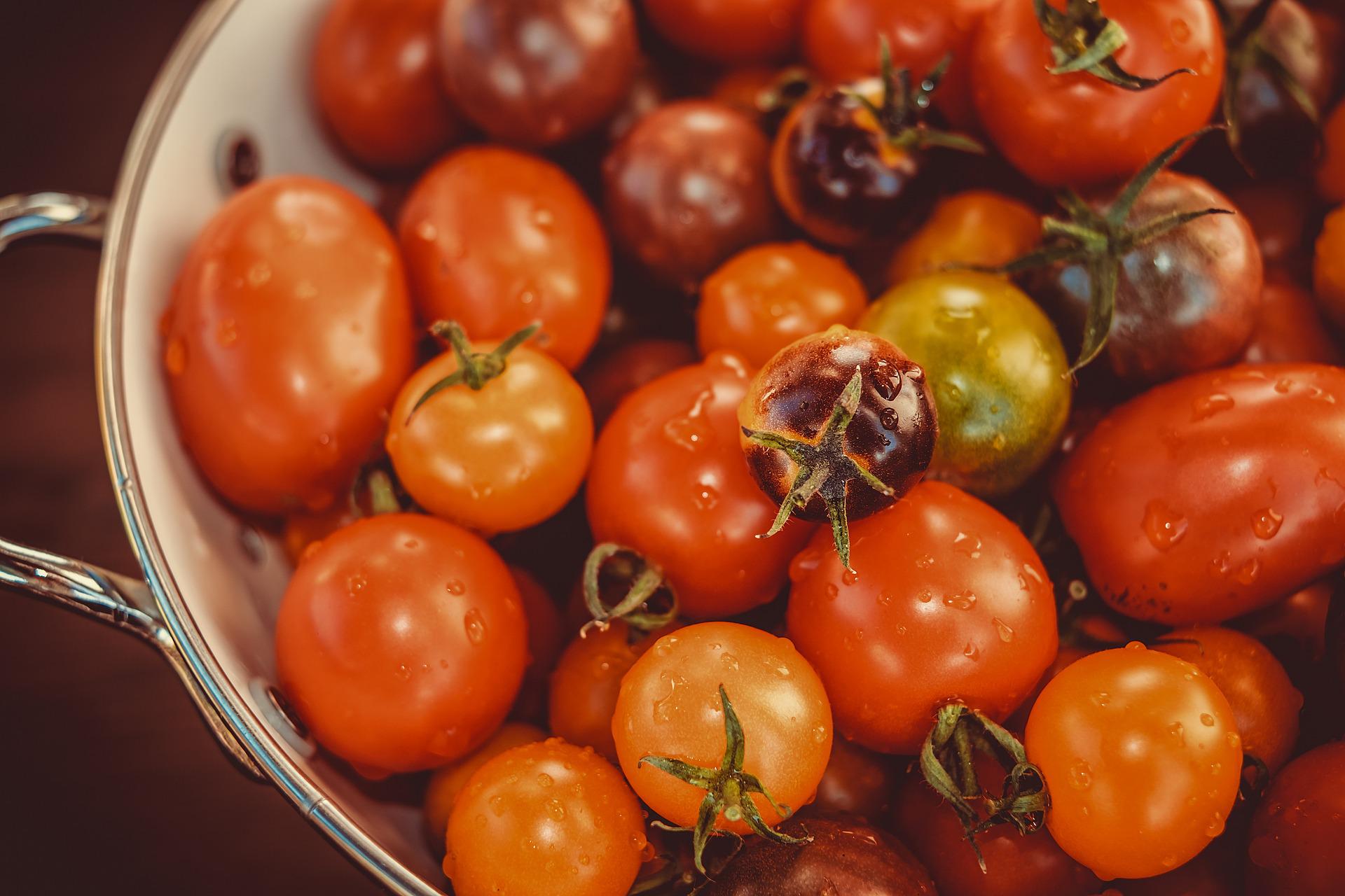 grow delicious heirloom tomatoes