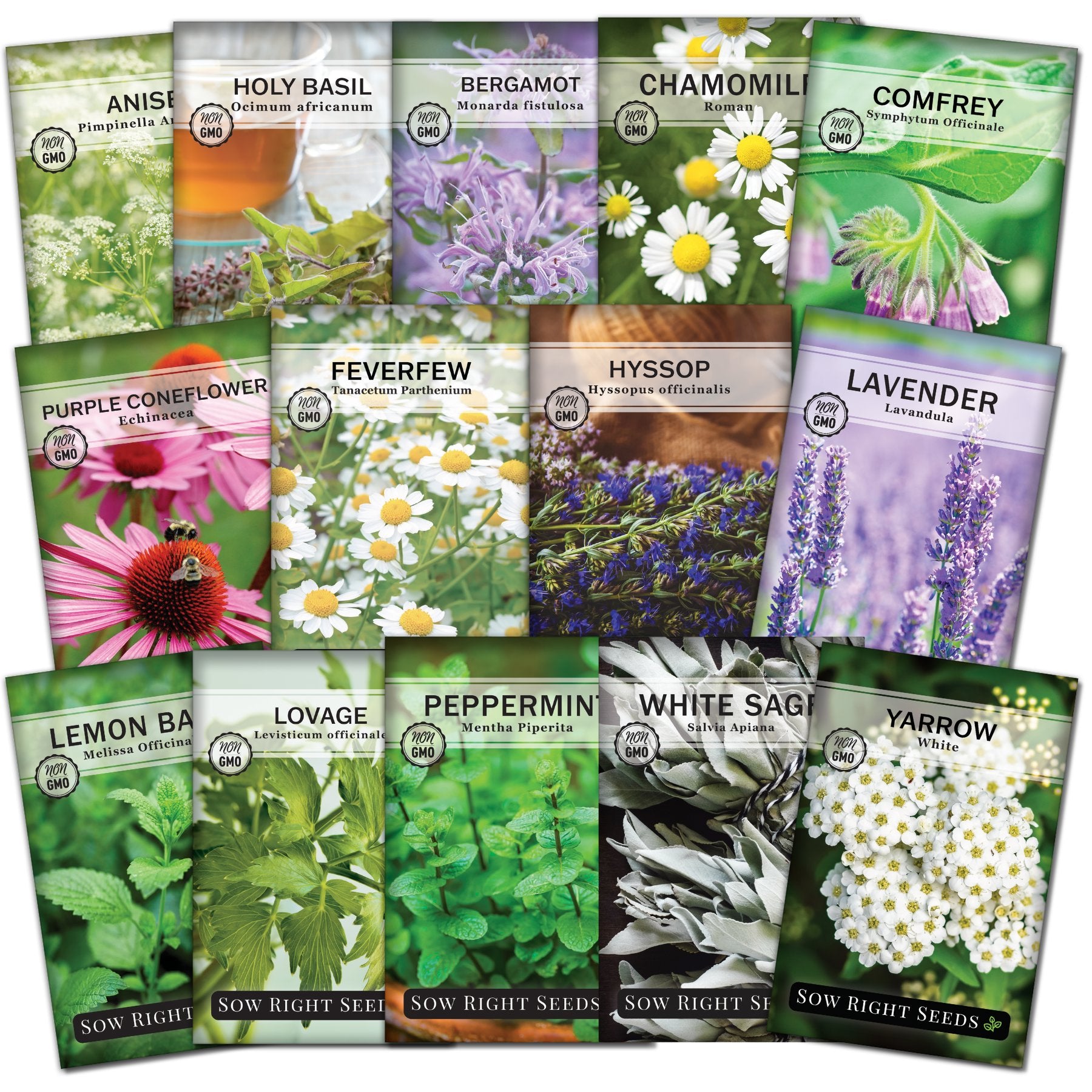 Sow Right Seeds - Medicinal Herb Seed Collection for Planting