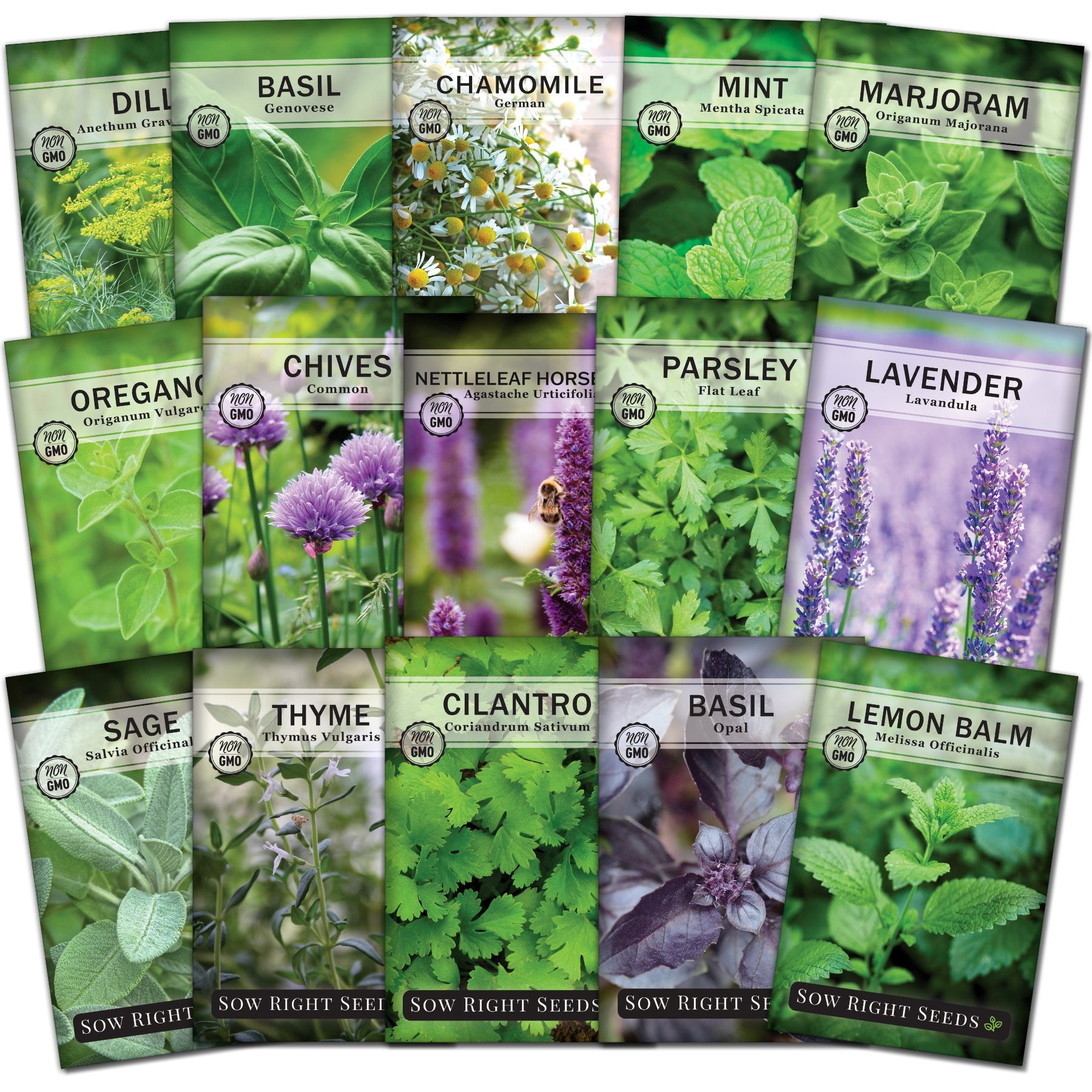 24 Herb Seed Paper Gift Boxes - Basil Dill Parsley Oregano hotsell Thyme Lavender Seeds - with Plantable Pots