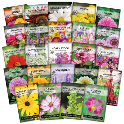 Flower Farm Seed Packet Collection with 24 varieties for sale