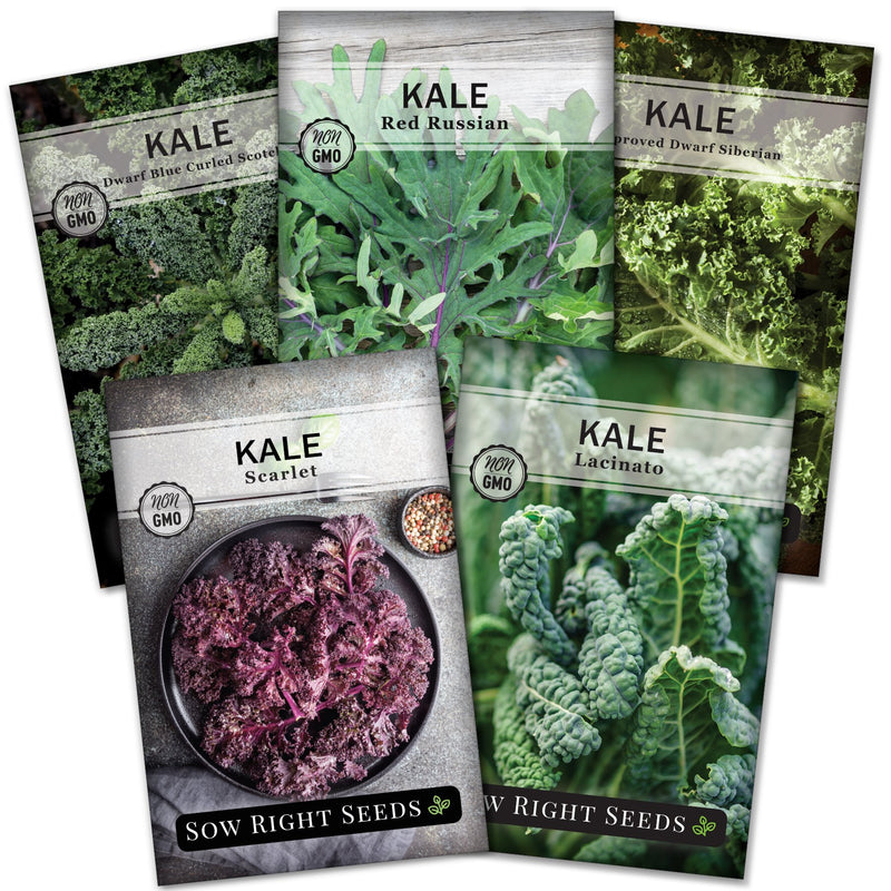 Kale Collection