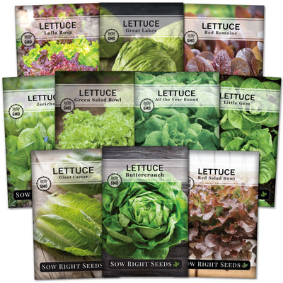 Large Lettuce Collection
