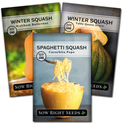 winter squash seed packet collection with 3 varieties of seeds for sale