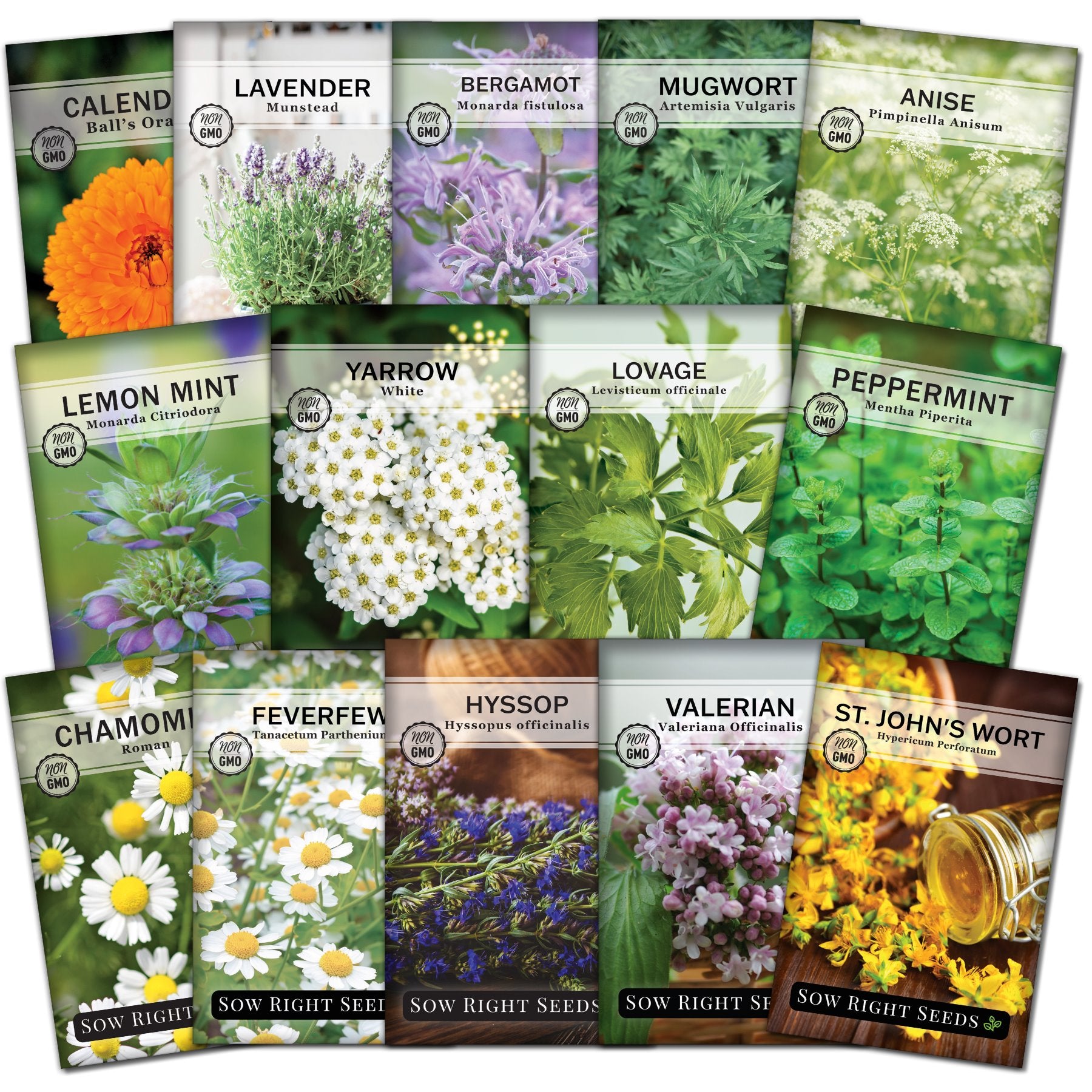 Large Medicinal Herb Seed Collection for Planting Home Remedies Sow
