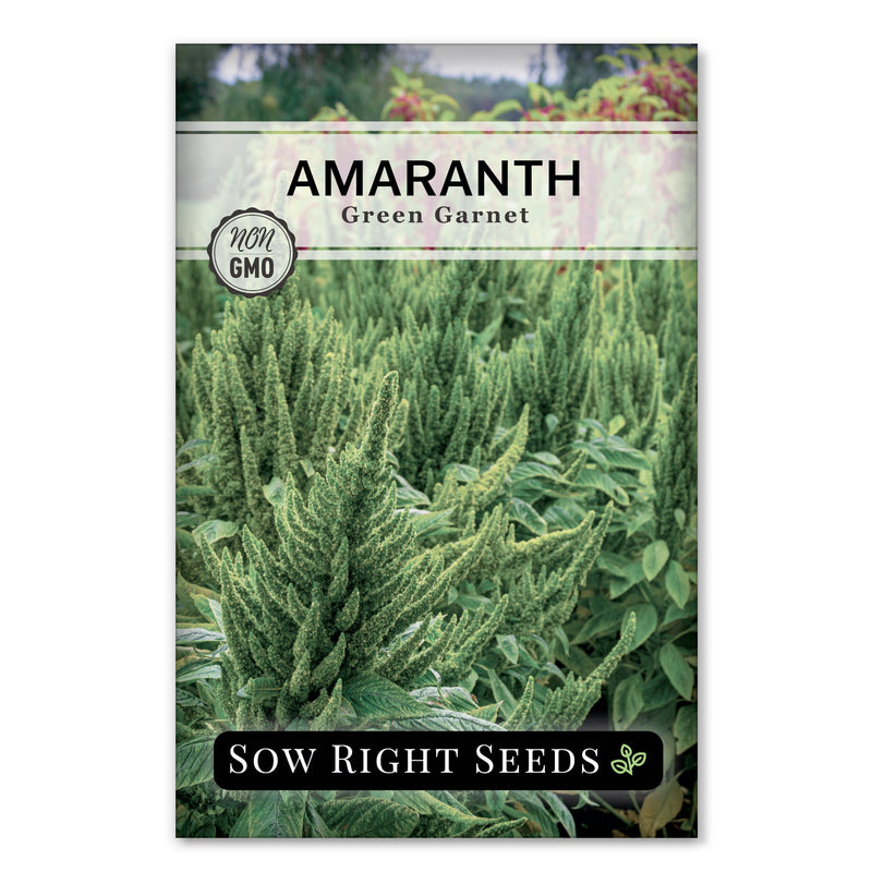 Green Garnet Amaranth