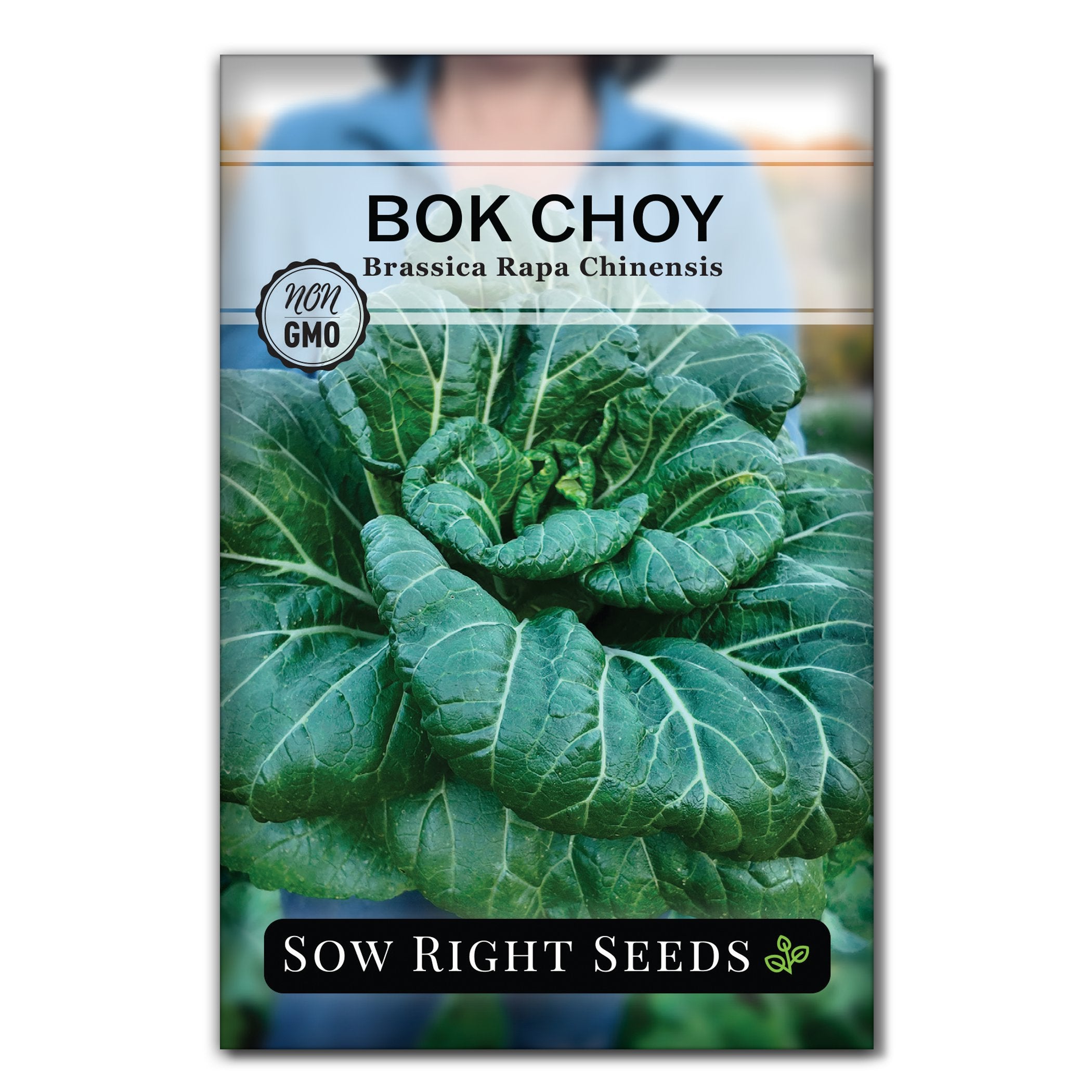 chinese rice paper plant seeds White Stem Pak Choi
