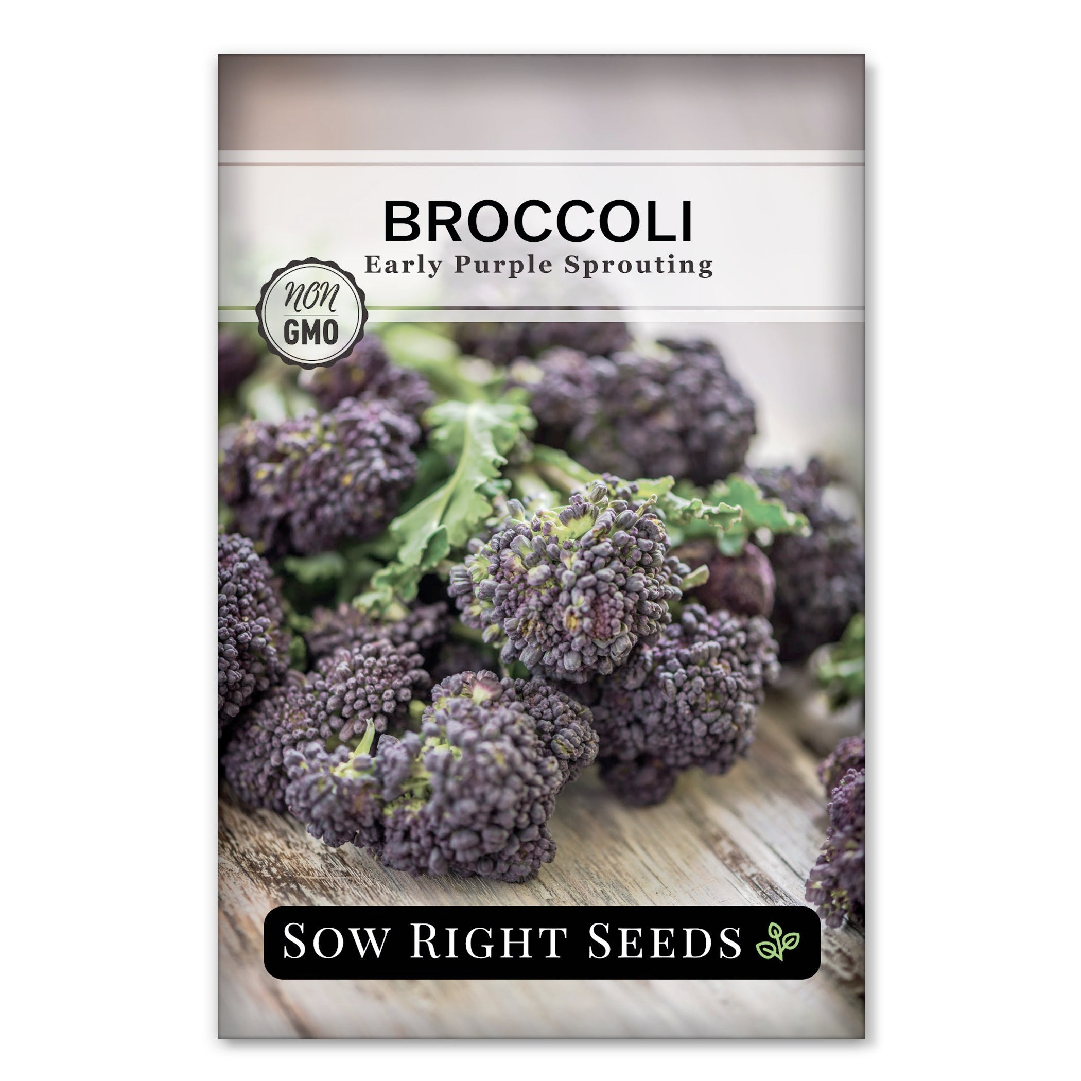 【新品未開封】 ヘルシング カレンダー Broccoli Books社 新品未開封】 ヘルシング カレンダー Broccoli Books社