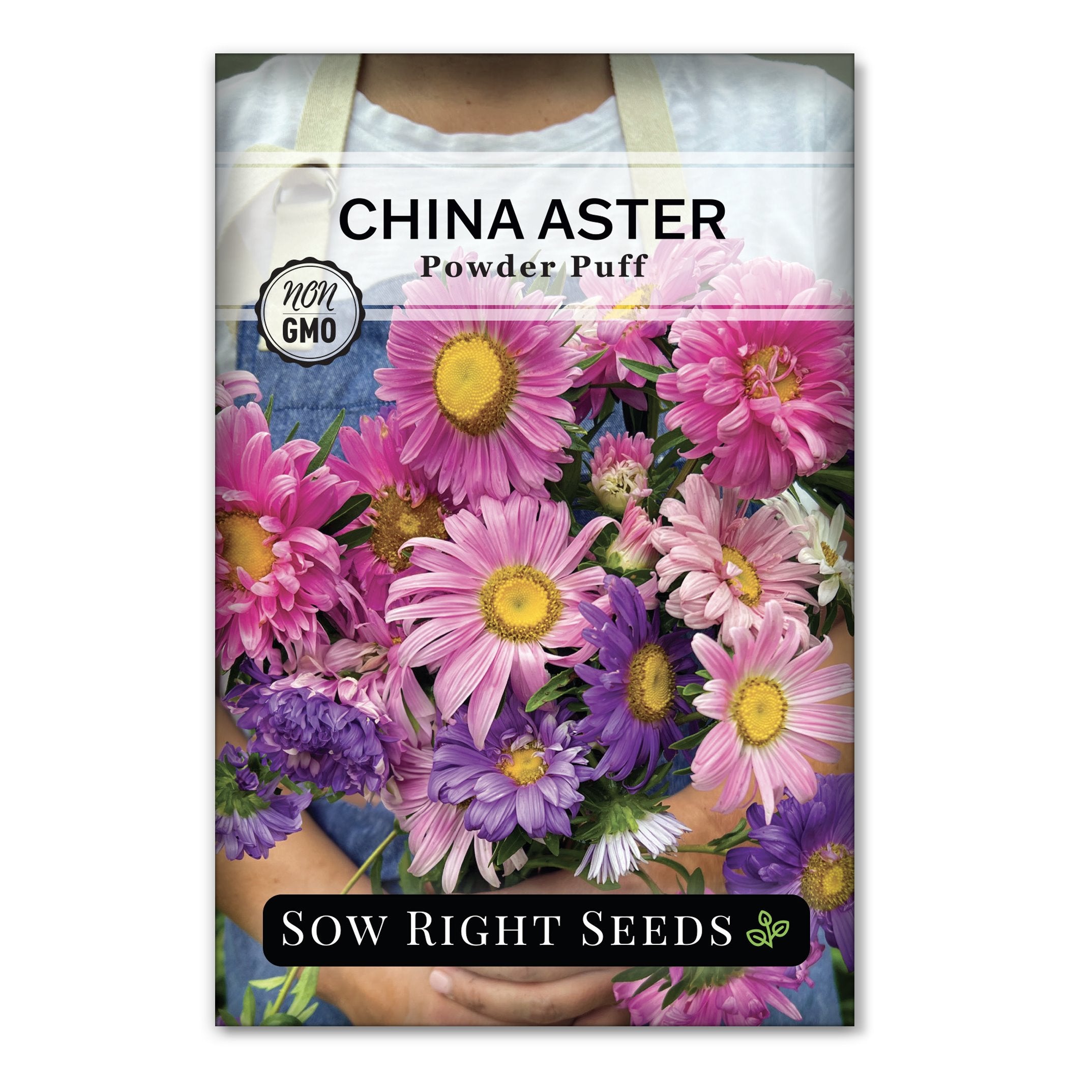 Powder Puff China Aster Seeds for Sale NonGMO Annual Flowers Sow