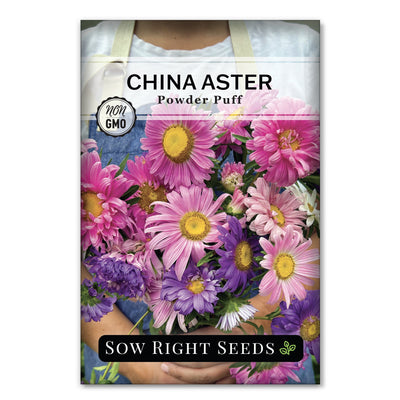 pink aster flower seeds for sale