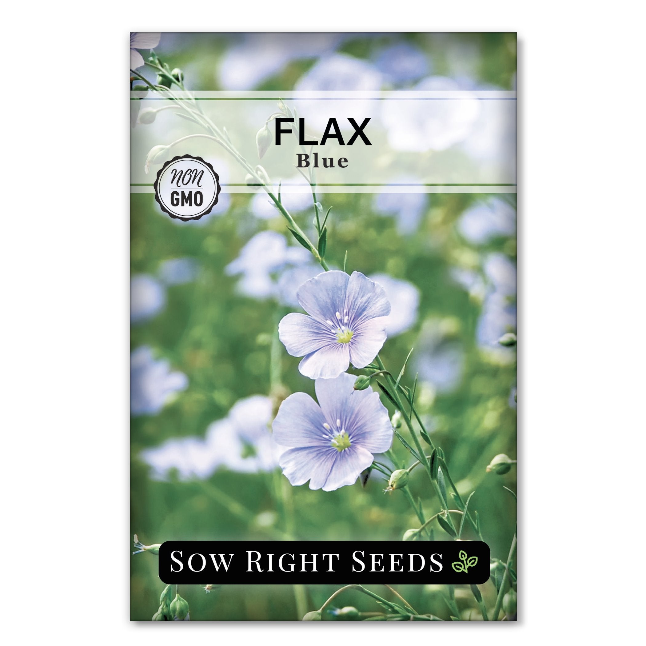 where to buy flax seeds for planting Sow Right Seeds - Blue Flax Seeds for Planting - Non-GMO Heirloom Packet with Instructions to Plant an Outdoor Wildflower Garden