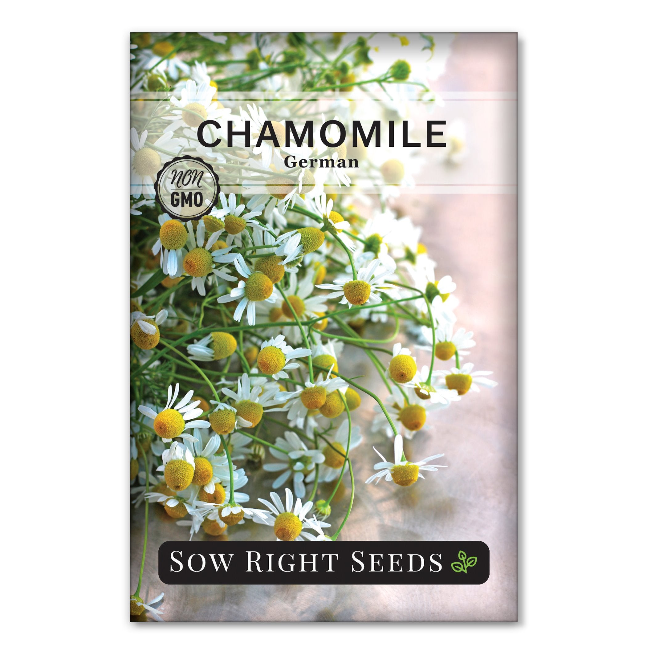 Sow Right Seeds - German Chamomile Seeds for Planting
