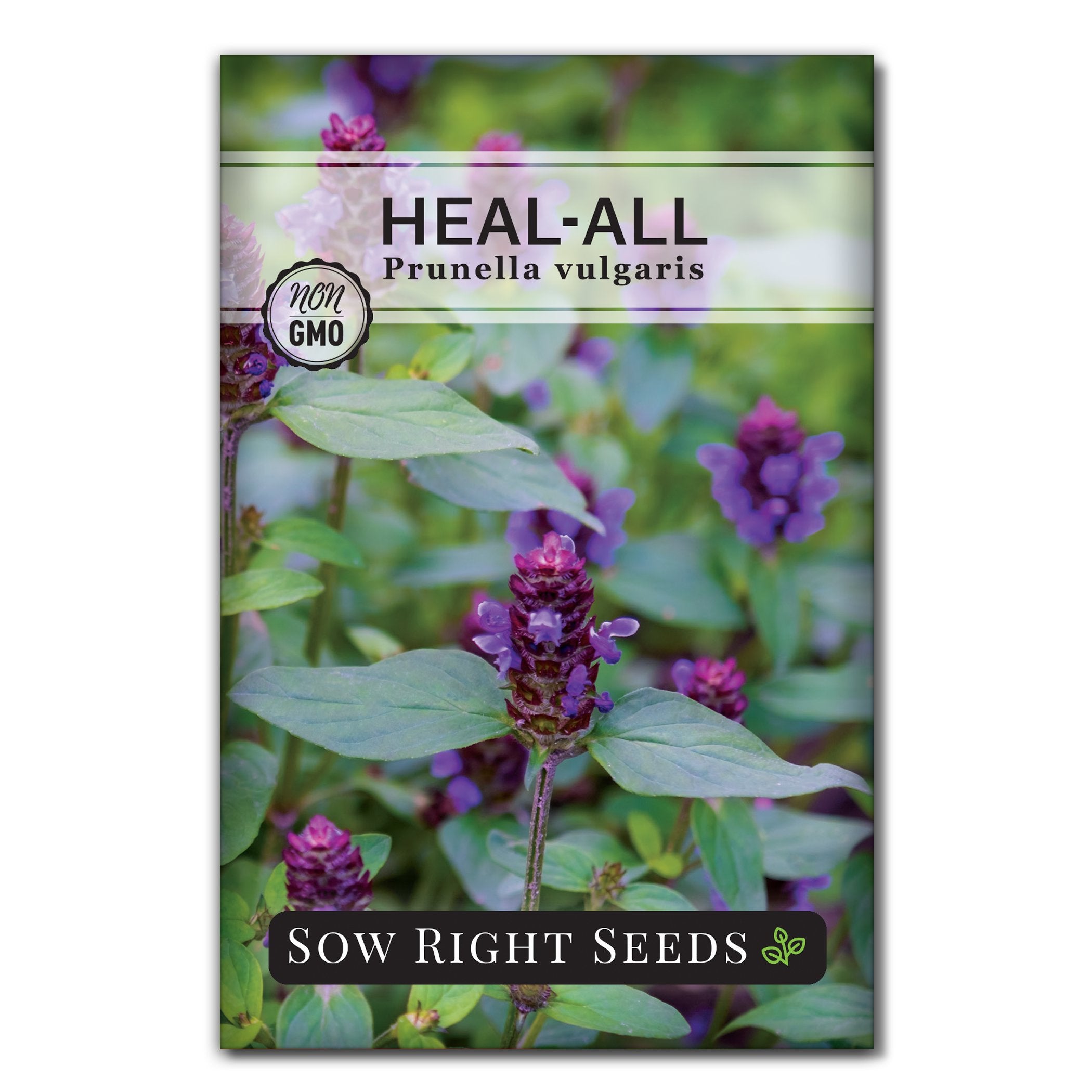 self heal plant seeds Heal-all Seeds