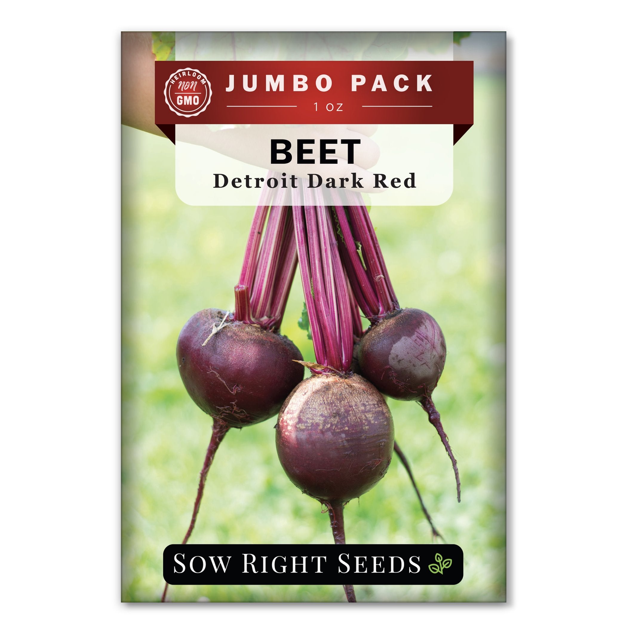 Bulk Detroit Dark Red Beet for Planting Easy to Grow Sow Right Seeds
