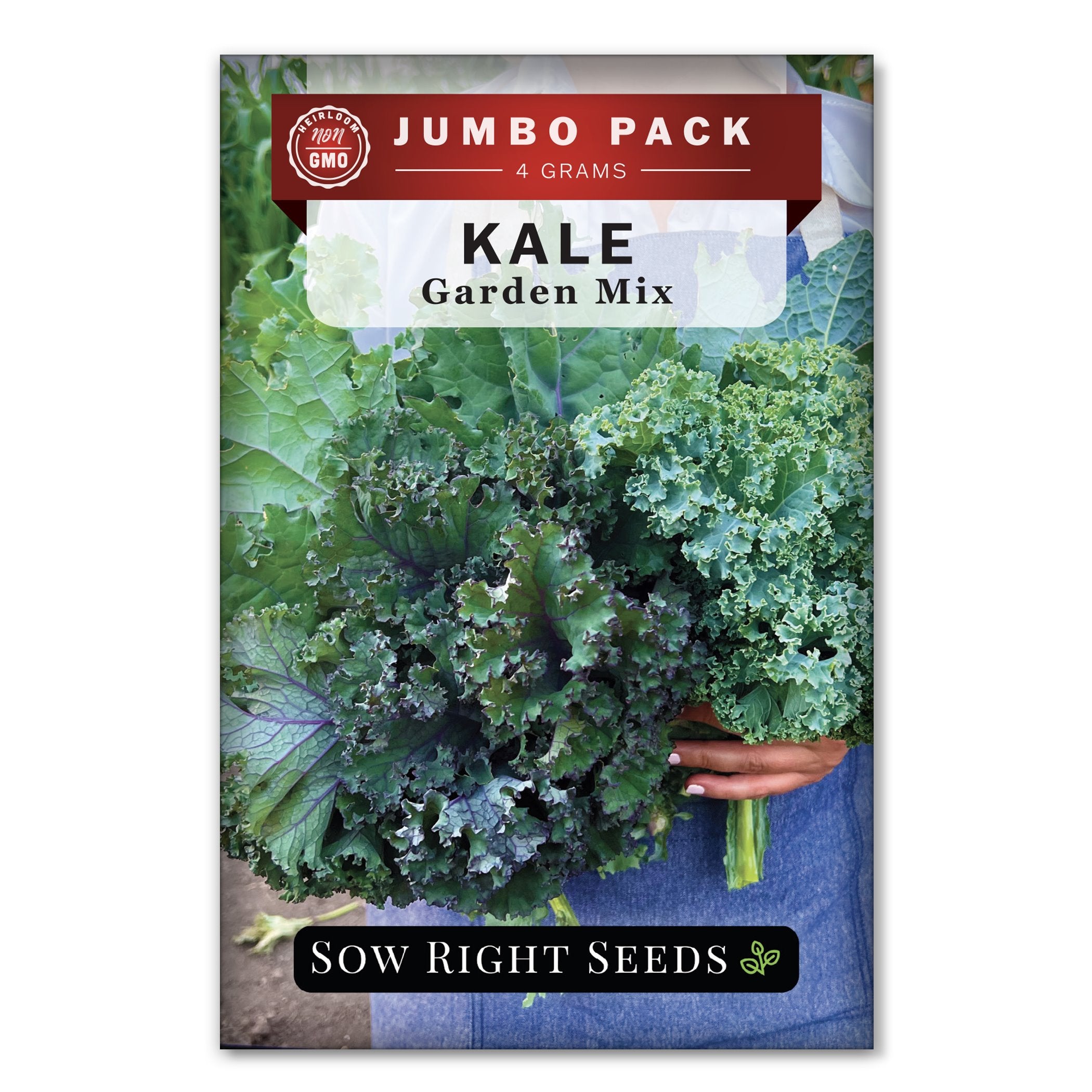 1/4 Lb Lacinato Kale Seeds – Everwilde Farms Mylar Packet, Heirloom, Open Pollinated (2024)