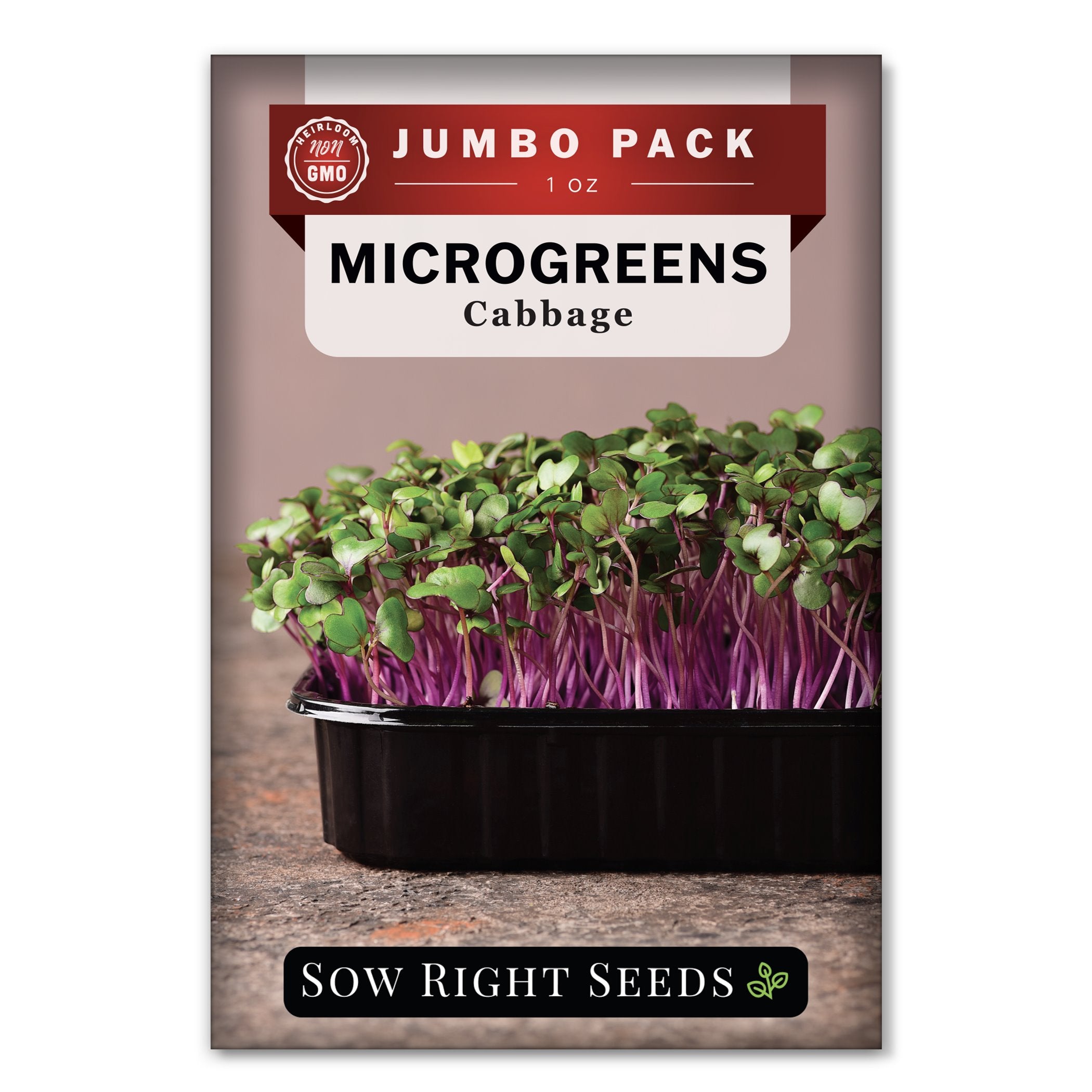 Bulk Cabbage Microgreen Seeds for Sprouting Easy to Grow Sow Right
