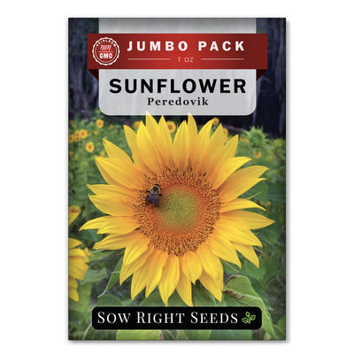 Bulk Peredovik Sunflower 1 Ounce
