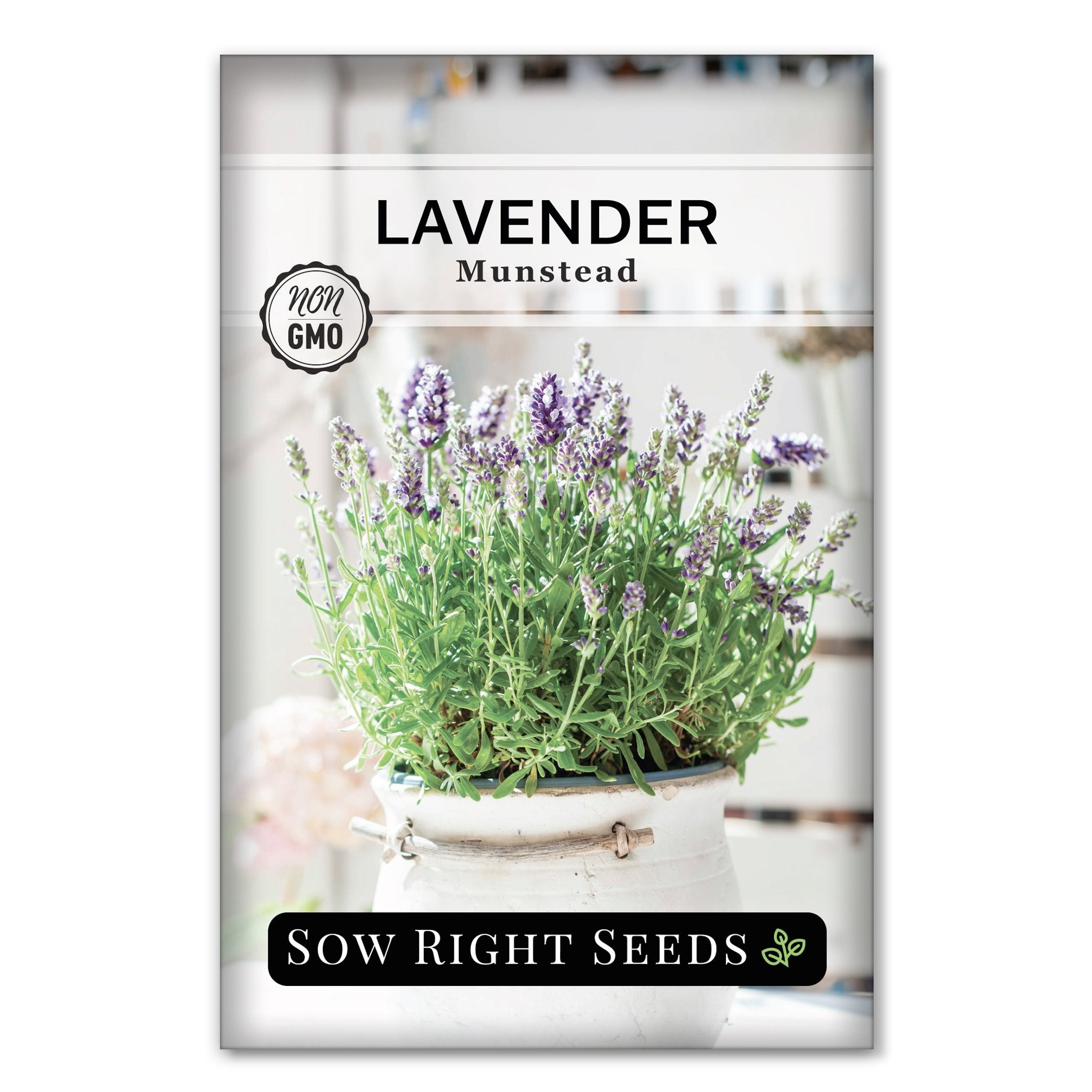 lavender strain seeds Sow Right Seeds - Munstead Strain Lavender Seeds for Planting
