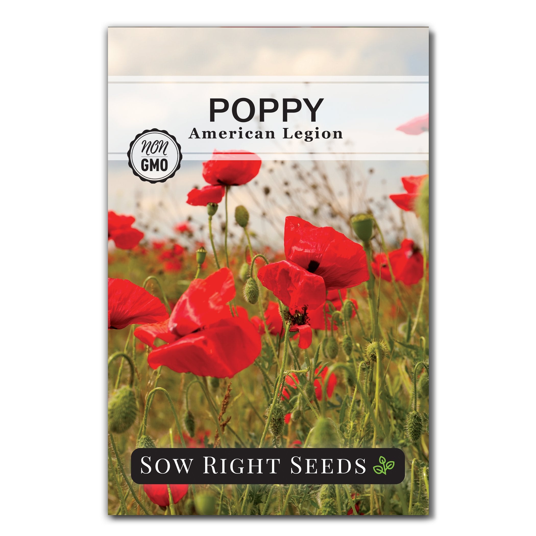 red poppy seeds for planting American Legion Poppy Seeds
