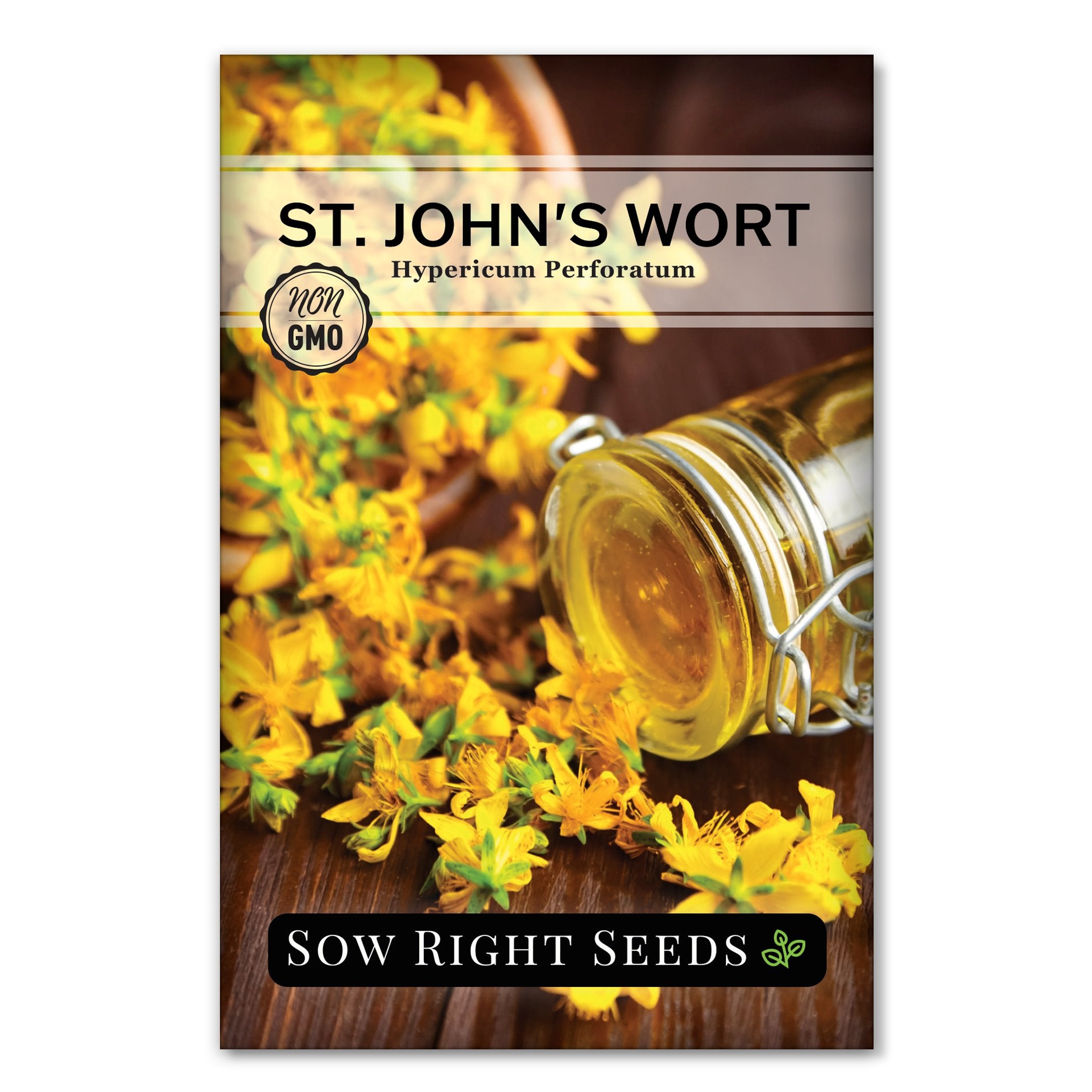 st john's wort plant seeds St. John's Wort
