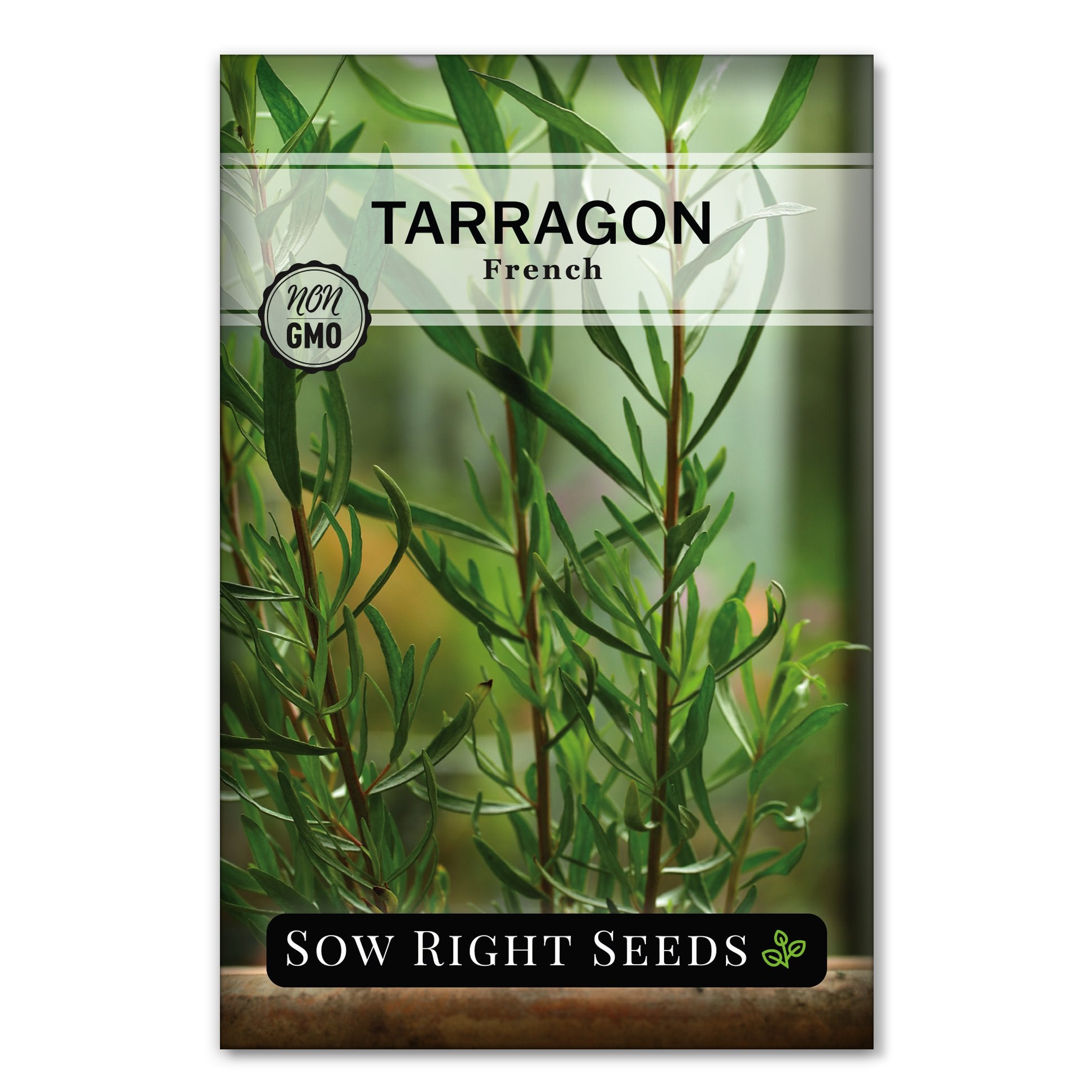 Sow Right Seeds - French Tarragon Seeds for Planting - Non-GMO Heirloom Packet with Instructions to Plant an Outdoor or Indoor Herb Garden
