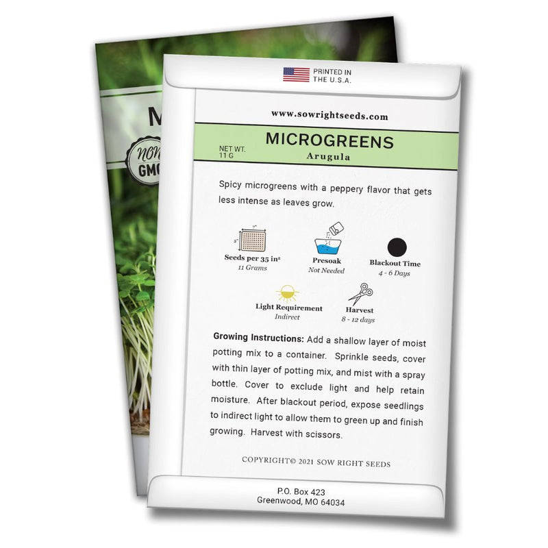 how to grow the best arugula microgreens