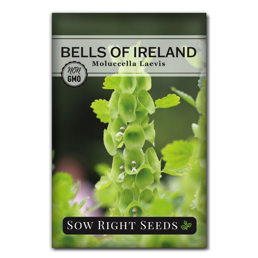 flower packet seeds Sow Right Seeds - Bells of Ireland Flower Seeds for Planting - Unique Green Flowers to Plant in Your Home Garden