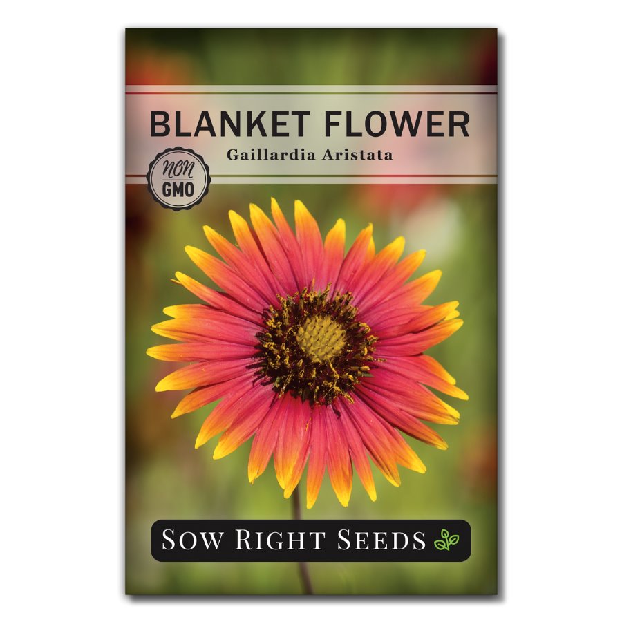 Blanket Flower Seeds to Plant Native Butterfly & Bee Sow
