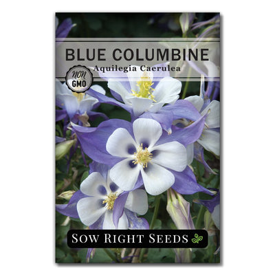 white flower blue columbine seeds