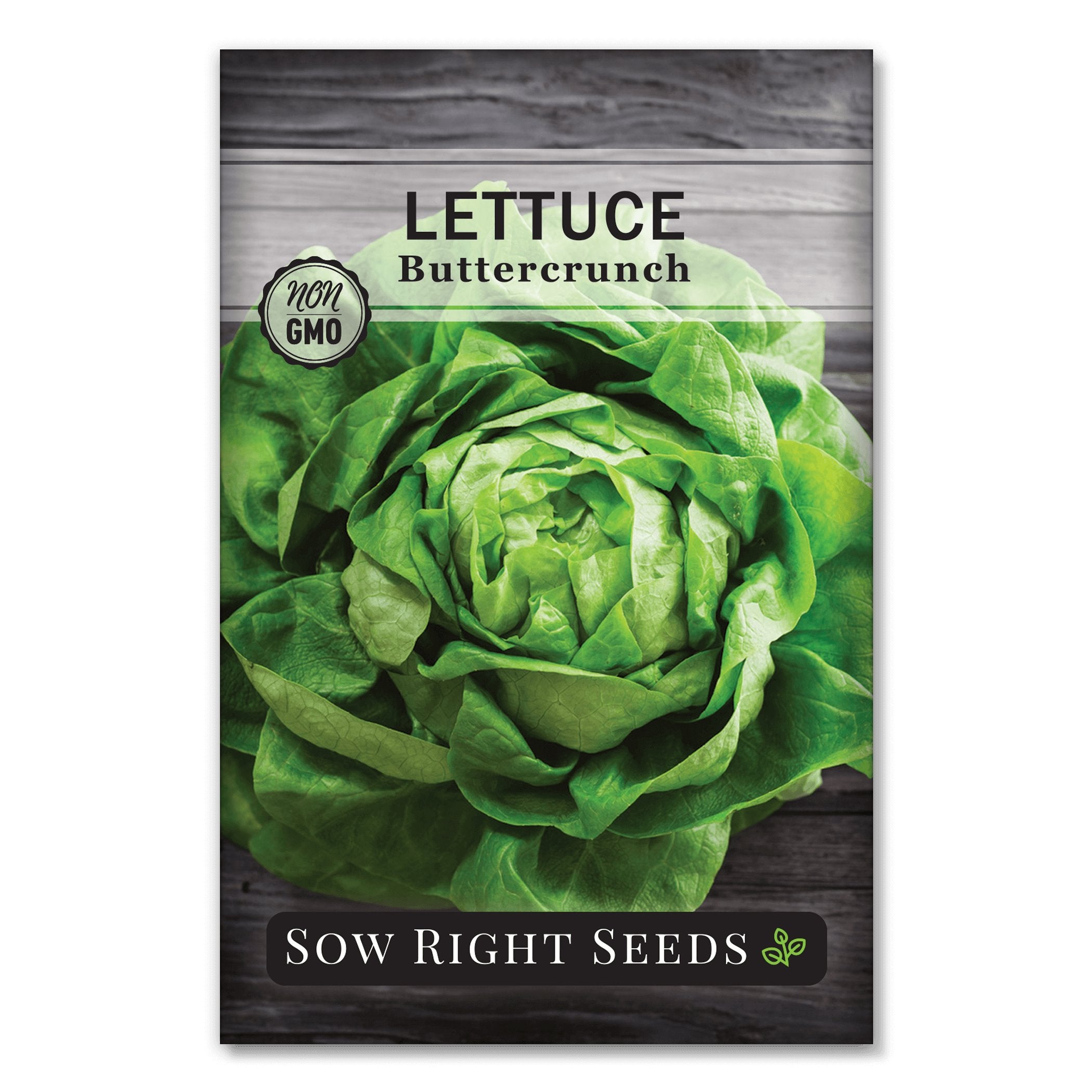 Buttercrunch Lettuce Seeds for Planting Buttery Bibb Lettuce Sow