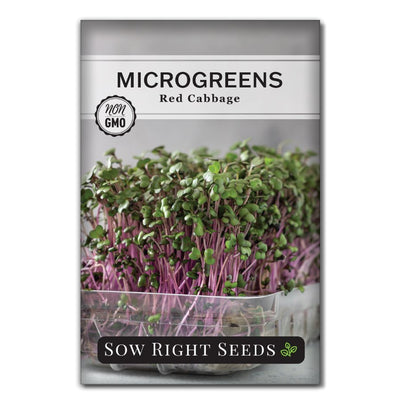nutrient packet red cabbage microgreen seeds for sale