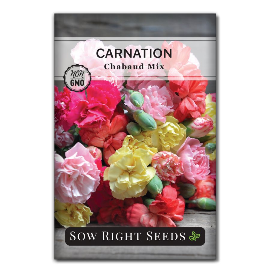 carnation flower seeds online Sow Right Seeds - Carnation Chabaud Mix Flower Seeds for Planting - Beautiful Flowers to Plant in Your Home Garden - Non-GMO Heirloom Seeds
