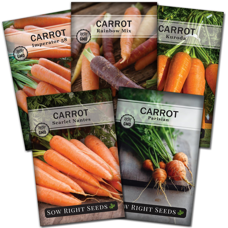 Carrot seed packet collection with 4 varieties of seeds for sale